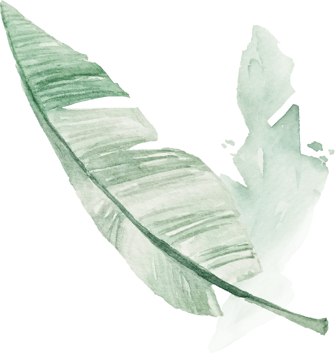Caribbean Banana Leaf Image